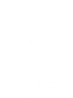 the most beautiful Logo